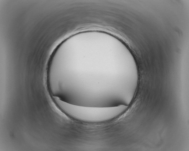 X0000111031518200907161314