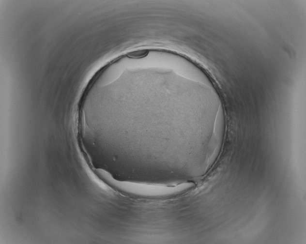 X0000111031519200907161314