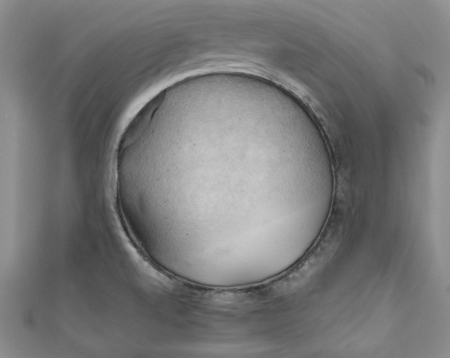 X0000111031520200907161314
