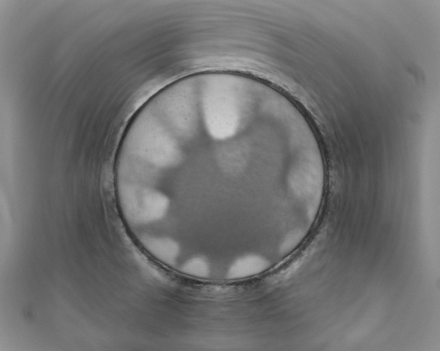 X0000111031521200907161314
