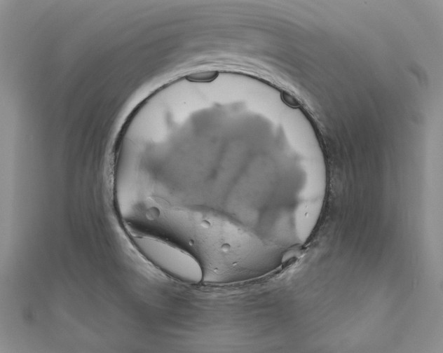 X0000111031522200907161315