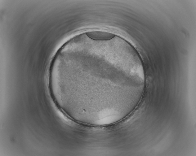 X0000111031523200907161315