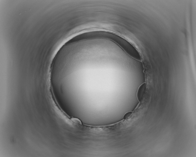 X0000111031524200907161315
