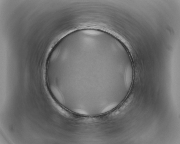 X0000111031525200907161315