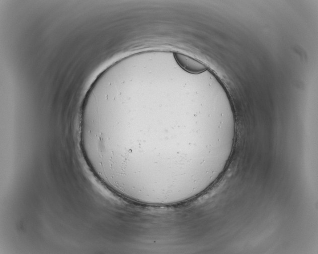 X0000111031526200907161315