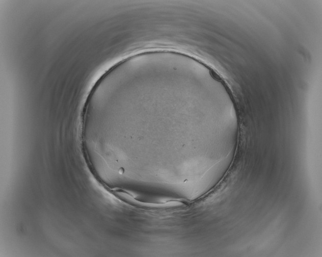 X0000111031527200907161315