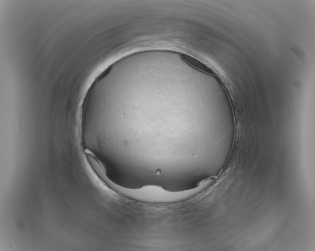 X0000111031528200907161315