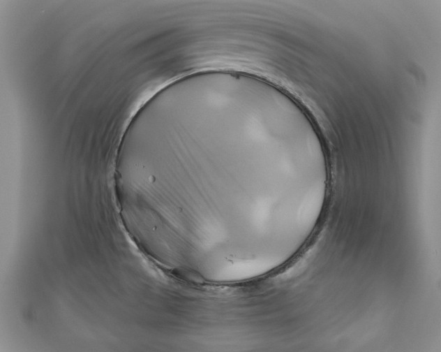 X0000111031529200907161315