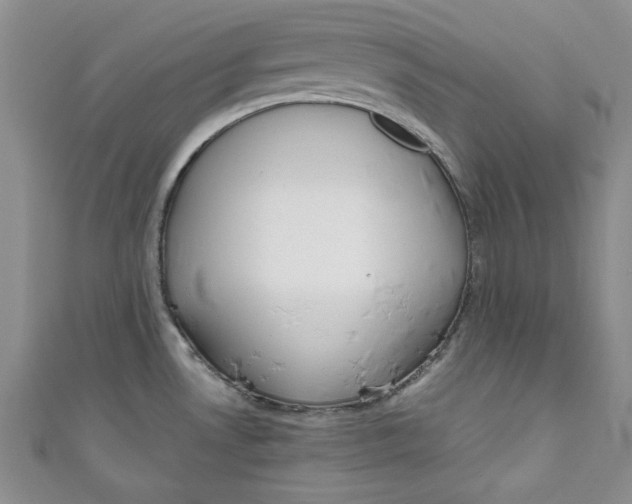 X0000111031530200907161315