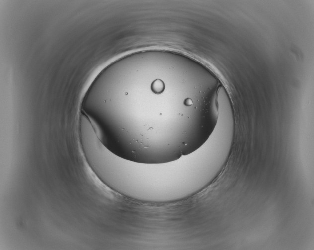 X0000111031532200907161315