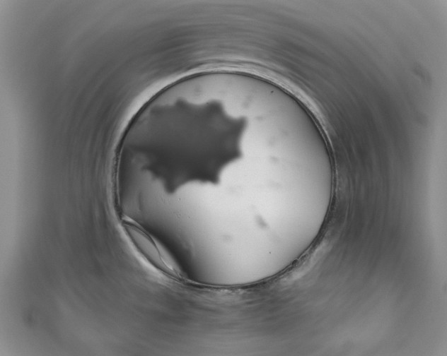 X0000111031533200907161315