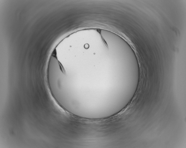 X0000111031536200907161315