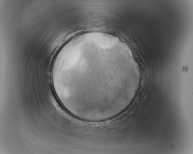 X0000111030002200907231632