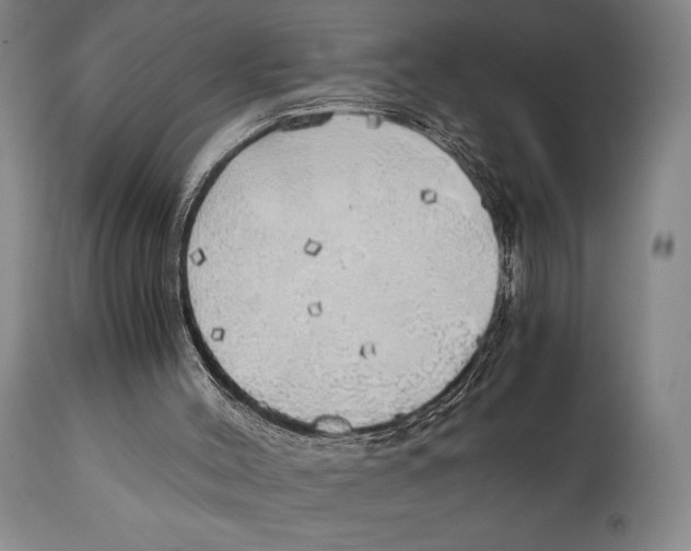 X0000111030004200907231632