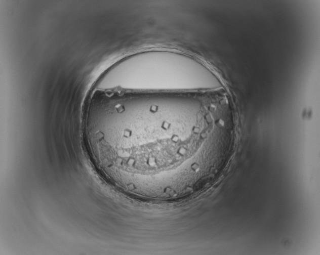 X0000111030008200907231632