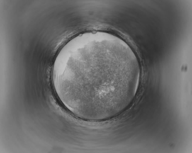 X0000111030010200907231631