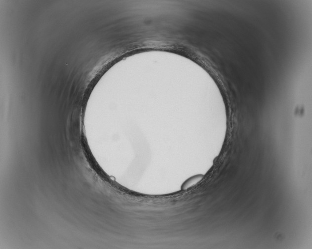 X0000111030011200907231631