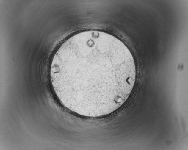 X0000111030012200907231631