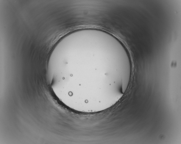 X0000111030013200907231631