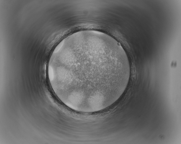 X0000111030014200907231631