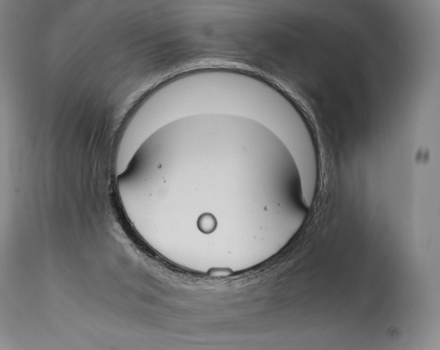 X0000111030015200907231631