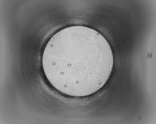 X0000111030016200907231631