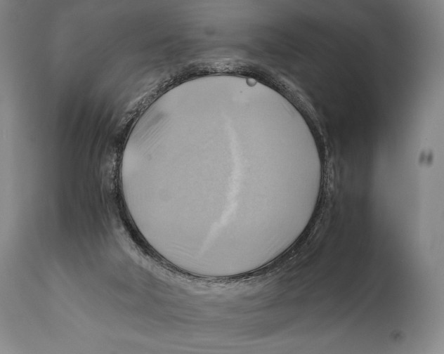 X0000111030018200907231631