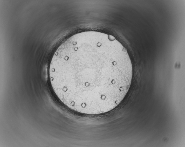 X0000111030020200907231631