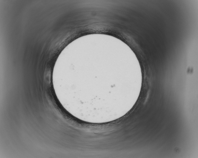 X0000111030021200907231631