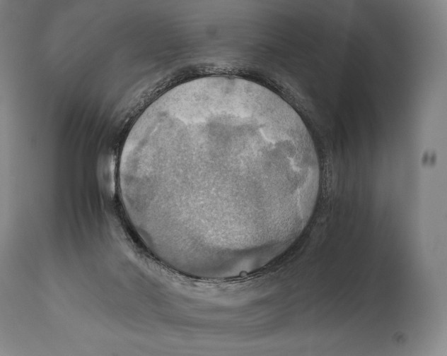 X0000111030022200907231631