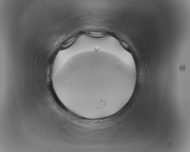 X0000111030023200907231631