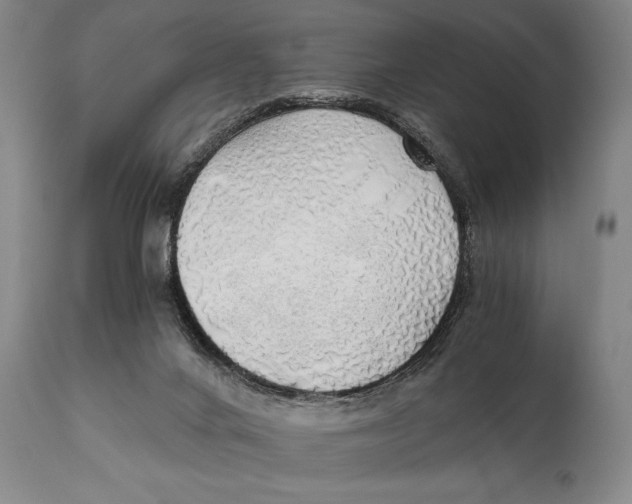 X0000111030024200907231631