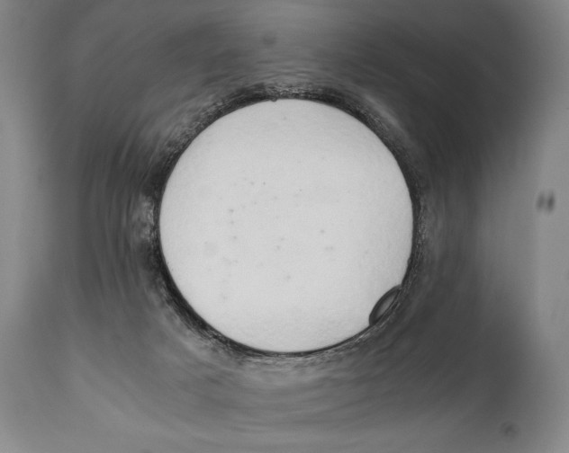 X0000111030025200907231631