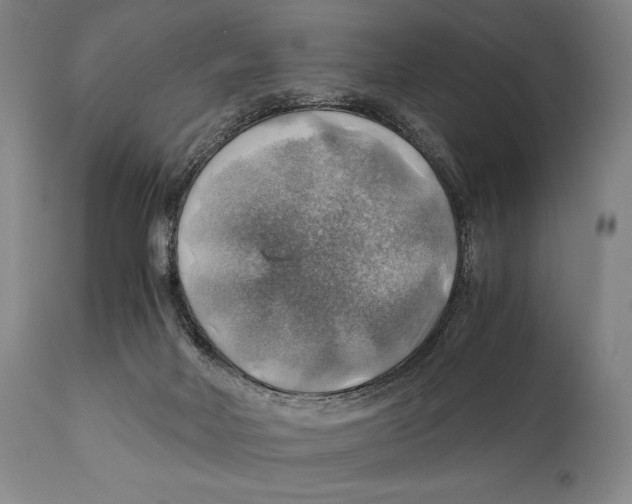 X0000111030026200907231631