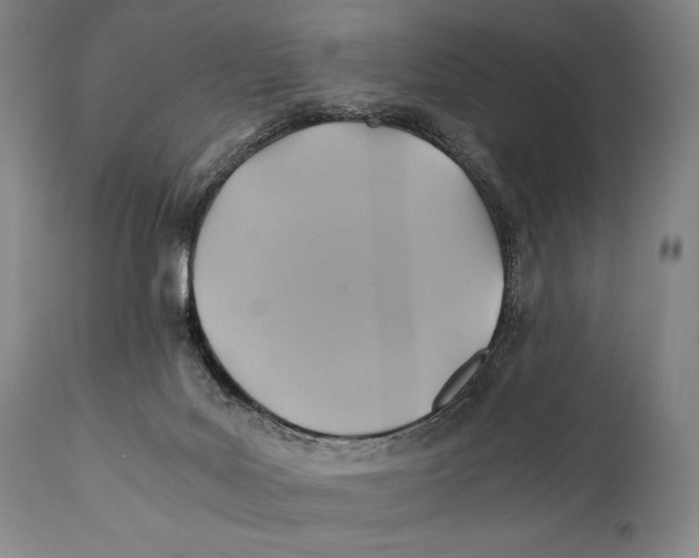 X0000111030027200907231631