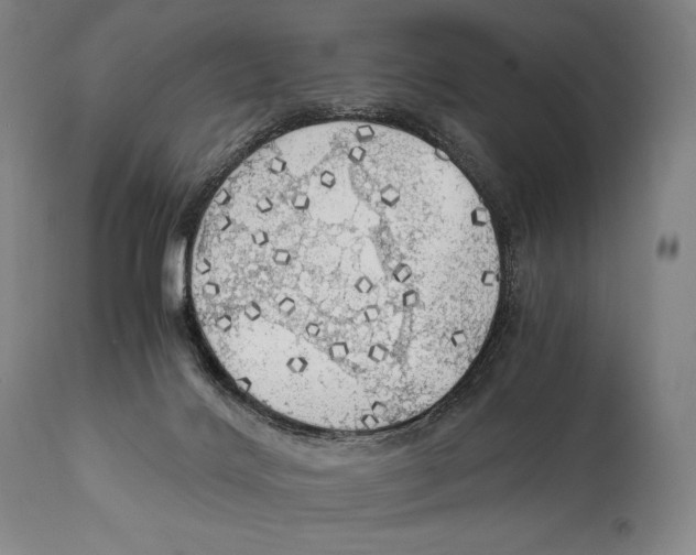 X0000111030028200907231631