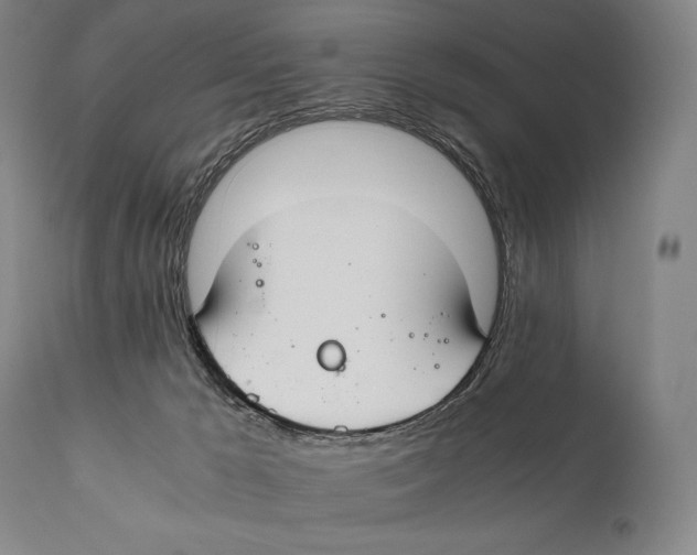 X0000111030029200907231631