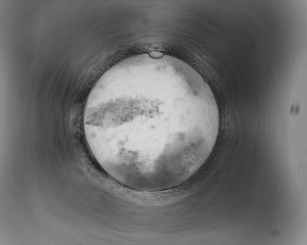 X0000111030030200907231631