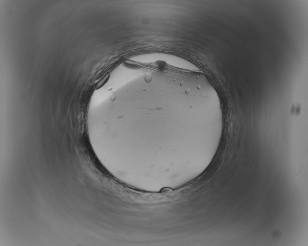 X0000111030031200907231631