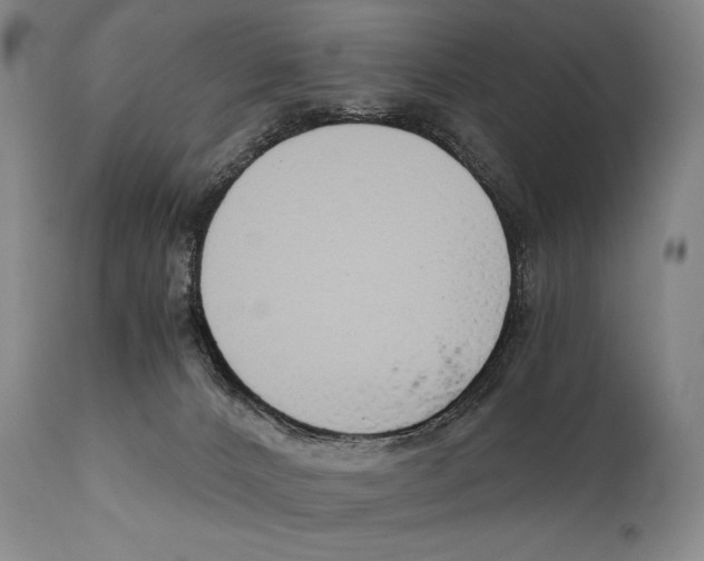 X0000111030032200907231631