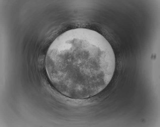 X0000111030034200907231631