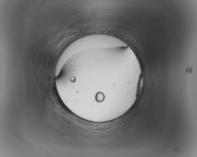 X0000111030035200907231631