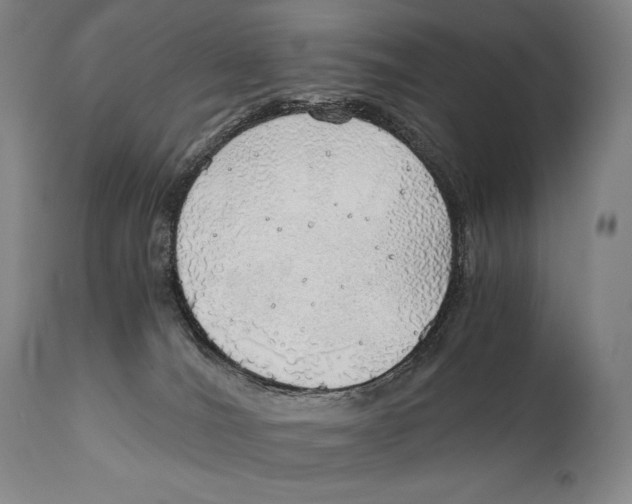 X0000111030036200907231631