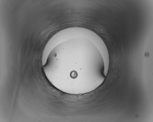 X0000111030037200907231631