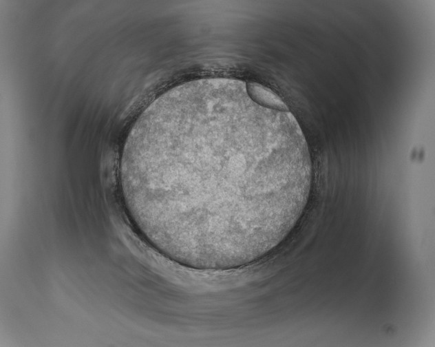 X0000111030038200907231631