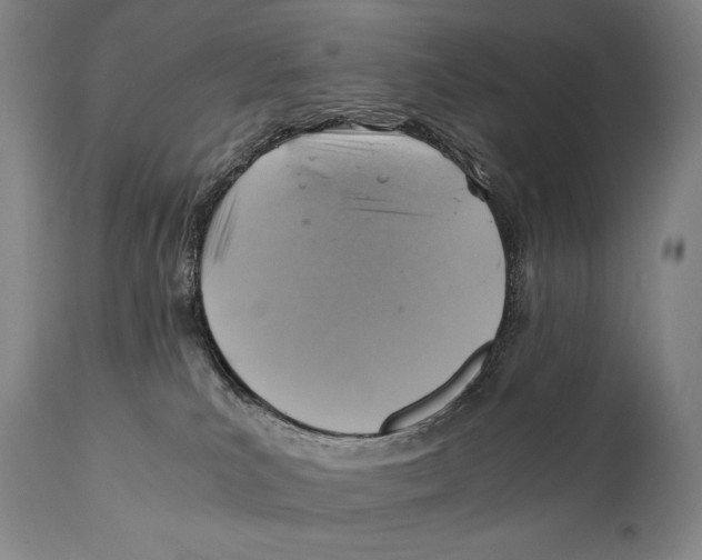 X0000111030039200907231631