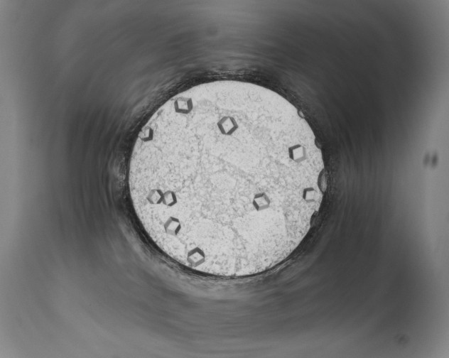 X0000111030040200907231631