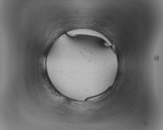 X0000111030041200907231631