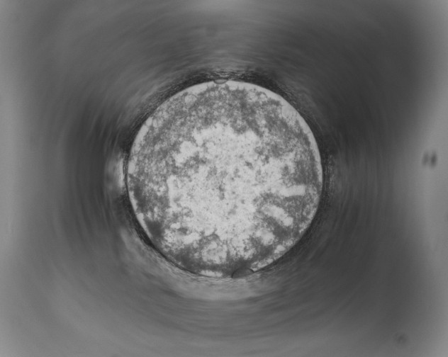 X0000111030042200907231631