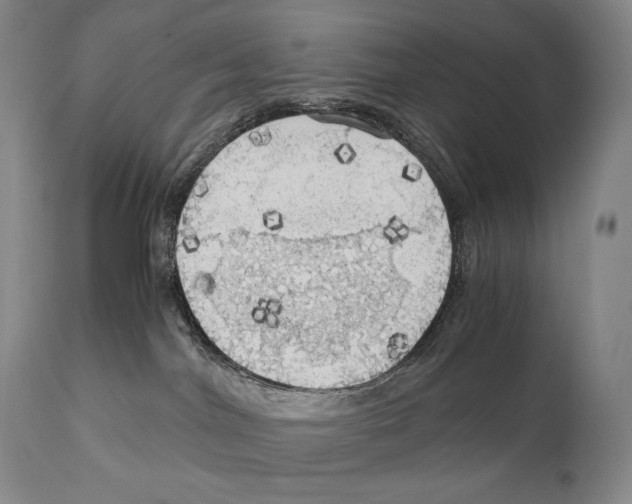X0000111030044200907231631
